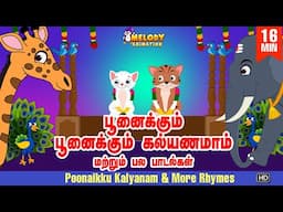 Poonaikku Poonaikku Kalyanam & more rhymes| பூனைக்கு கல்யாணம்|Tamil Kids Rhyme|குழந்தைகள் பாடல்