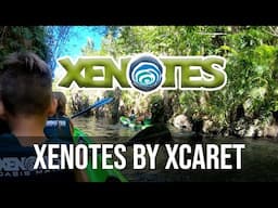 Xenotes Family Mexico Cenote Tour