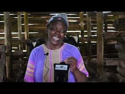 WOMEN OWNED DAIRY FARM: MRS. FRANCISCAH: