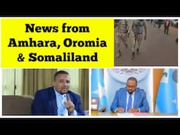 News from Amhara, Oromia & Somaliland