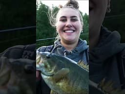 We went fishing for GIANT Smallmouth #smallmouthbass #bassfishing #fishing