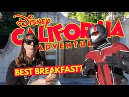 Ranking Every Breakfast Item at Disney California Adventure - Which Is The Best?