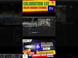 Master Calibration LUTs in Premiere Pro in 60 Seconds! 🎨✨