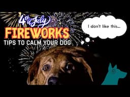 How To Calm Your Dog During 4th of July Fireworks!