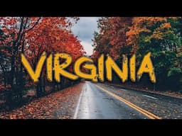 It was IN THE TREES | 4 HORRIFYING Encounters From VIRGINIA