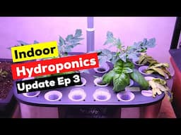 Indoor Hydroponics Update 3: LetPot LPH Max