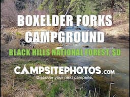 Boxelder Forks Campground - Black Hills National Forest, SD