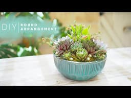 Round Succulent Arrangement | DIY