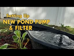 Setting Up NEW Pond Pump & Filter!