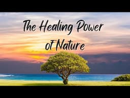 "The Healing Power of Nature: How Nature Therapy Boosts Mental Health"