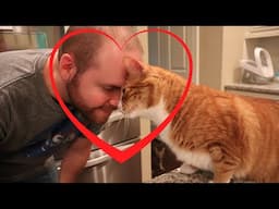 Ryan & Charlie | Cat Video