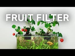 Making a Strawberry-Powered Aquarium (With No Filter)