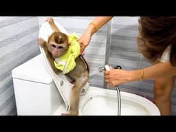 Mom cleans up Monkey Kaka poop needs diaper change