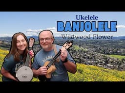 Wildwood Flower on Banjolele and Ukelele