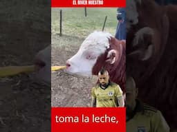 ARTURO VIDAL, el rey del meme