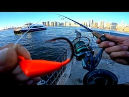 East River Fishing. Tautog (Blackfish) NYC