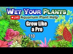 Planted Tank Tips, How to Grow Aquarium Plants Live Q&A (Wet Your Plants #110)