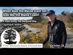 When Does the Maine Coast Not Look Like the Maine Coast? The Marginal Way - 10/28/22