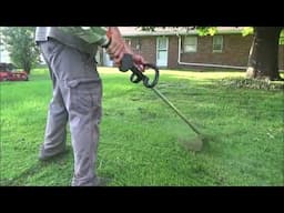 Trimming A Wet Backyard Lawn Care Lifestyle