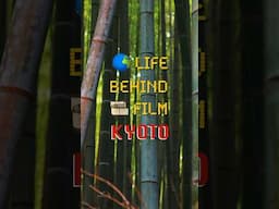 Kyoto Behind Film 🎞️🌳 #35mm