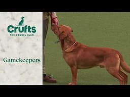 Gamekeepers Competition Final | ​Crufts 2024