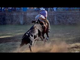 NO PERDONO EL TORO MÁS LETAL DE LOS MANANTIALES.!! EL PELIGROSO CUERVITO.!