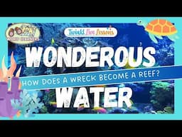 World Learners Water 3:  When does a wreck become a reef?