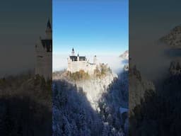 Real or AI? | Neuschwanstein Castle #drone #beautiful #travel #avata2