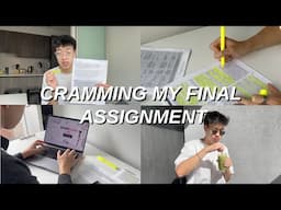 I PROCRASTINATED and now I have 3 DAYS to FINISH my FINAL ASSIGNMENT *watch me stress - study vlog*