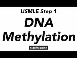 DNA Methylation - Biochemistry (USMLE Step 1)