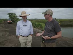 Weathering Tides: Saving the Black Rail in South Carolina