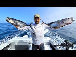 ALBACORE TUNA Melts in Your Mouth - Found 40 Miles Out! (DFG Encounter)