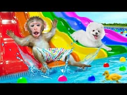 KiKi Monkey slide on Colorful Waterslides to Four Colors Pool to help Find Cars | KUDO ANIMAL KIKI