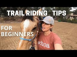 HORSE TRAIL RIDING TIPS. Horse trail riding for beginners!