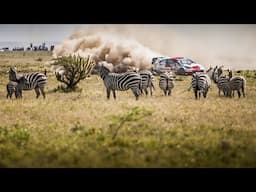 Toto - Africa but WRC Safari Rally style