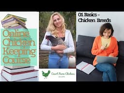 Breed Selection - Best starter chicken breeds - Chicken Keeping Course - Part 1