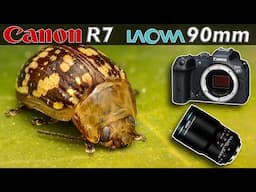 Canon R7 & Laowa 90 mm Extreme Macro - Educational Compilation