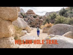 How to Hike to Willow Hole in Joshua Tree National Park | California