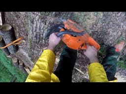 Powerful Husqvarna 340 saws oak, first person view