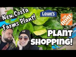 NEW POTHOS CULTIVAR!! 🌿 New Plants from Costa Farms!! ✨️ Home Depot & Lowe's in Concord, NH