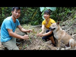 Off Grid Life with Ana and Jack - Farming, Harvesting, Building, Survival, Cooking