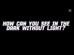 HOW CAN YOU SEE IN THE DARK WITHOUT LIGHT?