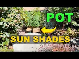 DIY Shade Covers to Save Water, Prevent plants roots from overheating Roots of your Container Pots