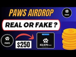 PAWS Airdrop (Real or Fake): All You Need To Know, "Urgent Update".