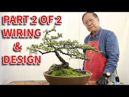 Lebanon Cedar bonsai part 2/2. How to wire your bonsai and design.