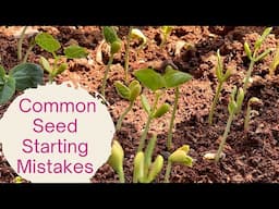 How to Germinate seeds faster || 5 Common Seed Starting Mistakes & How to Avoid them