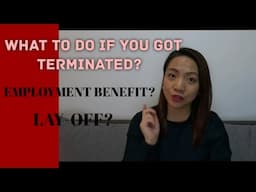 GOT TERMINATED? WHAT TO DO • MUST KNOW! • Employment in Finland