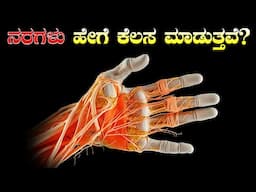 ನರಗಳ ಕೆಲಸವೇನು ಅನಿಮೇಶನ್ ನಲ್ಲಿ ನೋಡಿ | how does nervous system works ￼