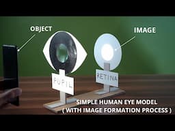 Super easy project for school students / How to make simple human eye model ( full tutorial )