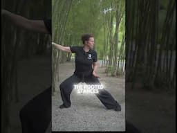 Qigong Mindful Movement for Grounding and Renewal Practice | Snake Qigong 🐍✨